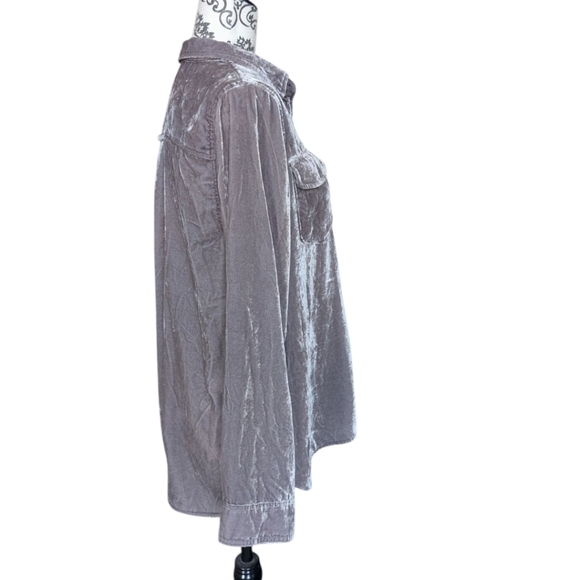 J. Crew Classic-fit Shirt Womens 10 Y2K Whimsigoth Grunge Drapey Velvet Pewter - Picture 4 of 14